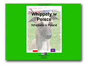 Whippets in Poland