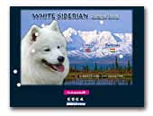 White Siberian Samoyede Kennel