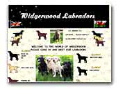 Labrador Retrievers Widgerwood
