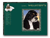 American Cocker Spaniels Kennel Willsteff's