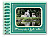 Labrador Retrievers Winsleywood Kennel