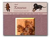 Gordon and Irish Red Setter kennel Xenaran