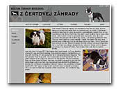 z Certovej zahrady Boston Terriers