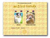 Dogue de Bordeaux and Shetland Sheepdog Kennel ze Zlaté hvězdy