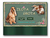 English Cocker Spaniels Złota Grota