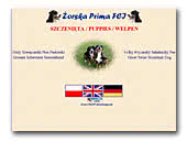 Great Swiss Mountain Dogs and Entlebucher Sennenhund Zorska Prima FCI