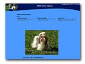 Shih Tzu z Vatomy Kennel