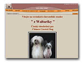 Chinese Crested Dogs Kennel z Waltariky